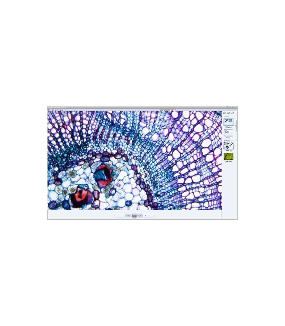camera-digitala-pentru-microscoape-celestron (1)